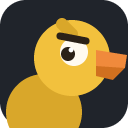 Judgy Duck